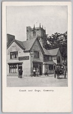 Oswestry coach dogs for sale  GLASGOW