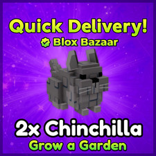 Chinchilla roblox grow for sale  USA