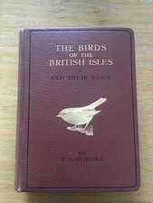 Birds british isles for sale  TENTERDEN