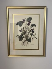 Botanical print viola for sale  Omaha