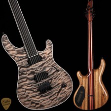 Mayones regius transparent for sale  Saint Louis