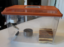 lizard cages for sale  Winter Springs