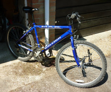 Raleigh max mountain for sale  SOUTHAMPTON