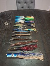 saltwater fish others for sale  Edgewater