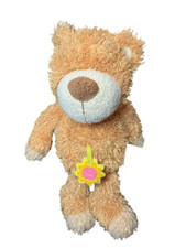 Nici bär blume gebraucht kaufen  Norderstedt