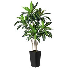 Artificial dracaena tree for sale  Ashford
