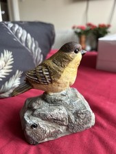 Garden singing bird for sale  LIVERPOOL