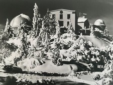 Mount wilson observatory for sale  Santa Cruz