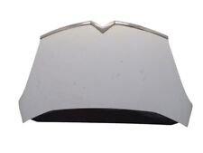 Motorhaube ewp weiss gebraucht kaufen  Bad Nauheim