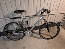 Mountain bike uomo usato  Castano Primo