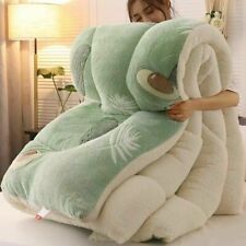 Colcha de cordeiro cobertor de inverno 6 kg dupla face colcha de veludo edredom de pelúcia grosso comprar usado  Enviando para Brazil