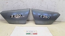 Coppia fianchetti laterali usato  Gambettola