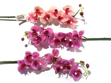 Artificial latex orchid for sale  Lansing