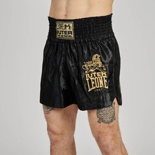 Pantaloncino leone ab02iu usato  Melegnano