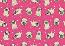 Lovely pink pug for sale  SELBY