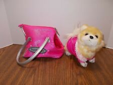 pucci pups for sale pucci pups for sale Lansing