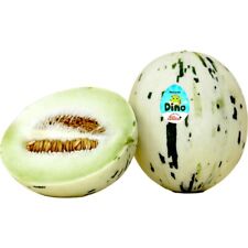 Semi melone dino usato  Valva