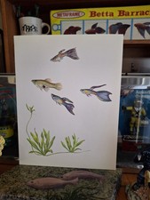 Vintage old aquarium for sale  Phoenix