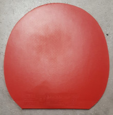 Tibhar evolution max gebraucht kaufen  Hüttlingen