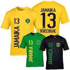 Fanshirt jamaika trikot gebraucht kaufen  Jesenwang