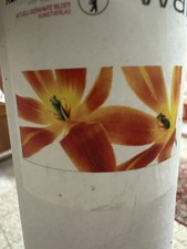 Wallprint frühlin blume gebraucht kaufen  Rodenberg