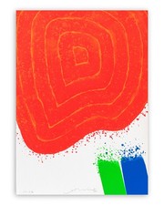 Serigrafia numerata firmata usato  Trevenzuolo