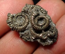 Full pyrite multi for sale  BRISTOL
