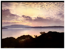 Eventide. sheep vintage d'occasion  Pagny-sur-Moselle