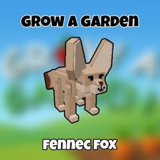 Fennec fox grow for sale  Fort Lauderdale