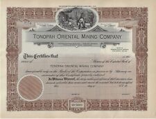Tonopah compagnia mineraria usato  Spedire a Italy