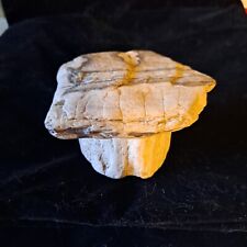 Cave barbies petrified for sale  Denver