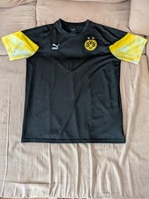 Bvb borussia dortmund gebraucht kaufen  Heuchelheim