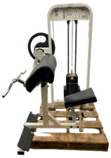 Paramount bicep curl for sale  Elkin