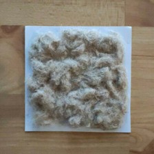 Larp echter rohrkolben gebraucht kaufen  Homberg (Efze)