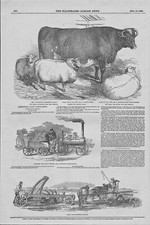 1849 original print for sale  SALISBURY