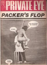 1977 cricket streaker for sale  TWICKENHAM