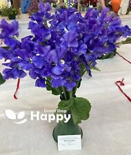 Sweet pea perfume for sale  DONCASTER