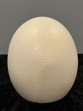 Authentic ostrich egg for sale  Paragould