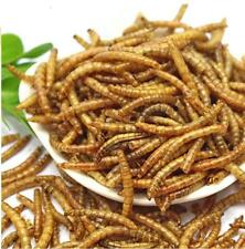 Dried mealworms bulk for sale  Pasadena