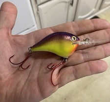 Discontinued rapala dt10 for sale  Fort Worth