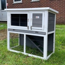 Rabbit guinea pig for sale  UK