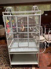 Large indoor outdoor for sale  Malvern