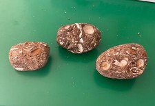 Sternberger gestein steine gebraucht kaufen  Anzing