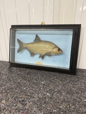 Vintage wall mounted for sale Vintage wall mounted for sale  CHERTSEY