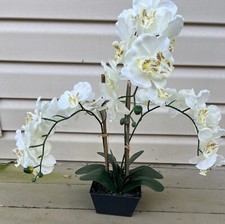 Orchid fake artificial for sale  Annapolis