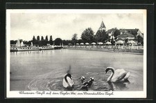 Berlin tegel schwanen gebraucht kaufen  Berlin