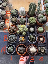 Update list rare for sale  BIRMINGHAM
