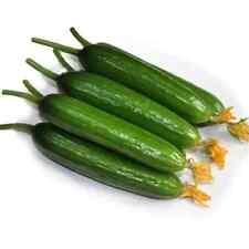 Fruit cucumber green for sale  Murrieta