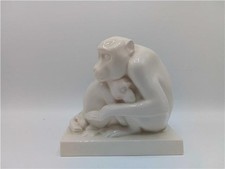 chimpanzee for sale chimpanzee for sale STOKE-ON-TRENT