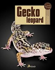 Gecko léopard d'occasion  Sainte-Foy-d'Aigrefeuille